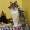 Отзыв от Альбина Андрианова